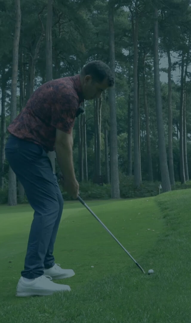 3 Releases: Online School