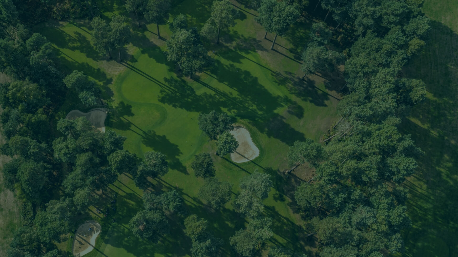 VIP Background Woburn